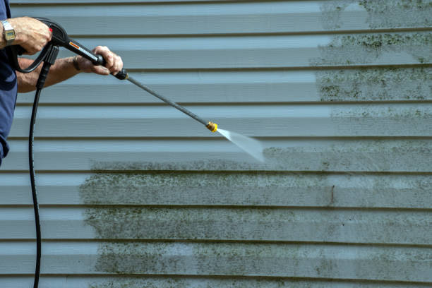 Best Roof Washing  in Arcadia, IN